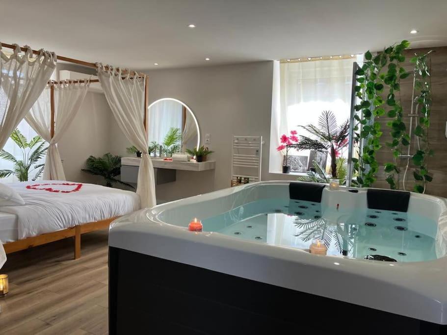 Jungle Secret Spa Nuit Insolite Giromagny Экстерьер фото